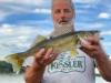 1-walleye